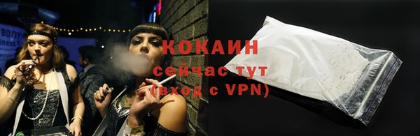 индика Мегион