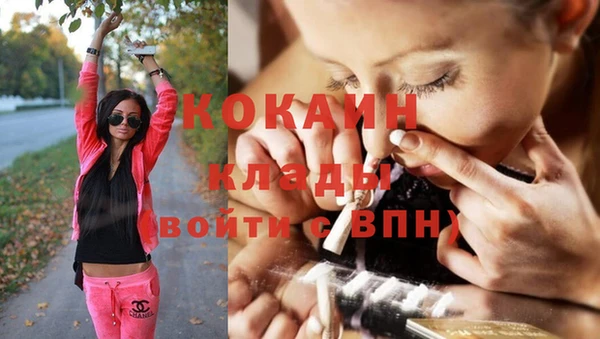 хмурый Алзамай